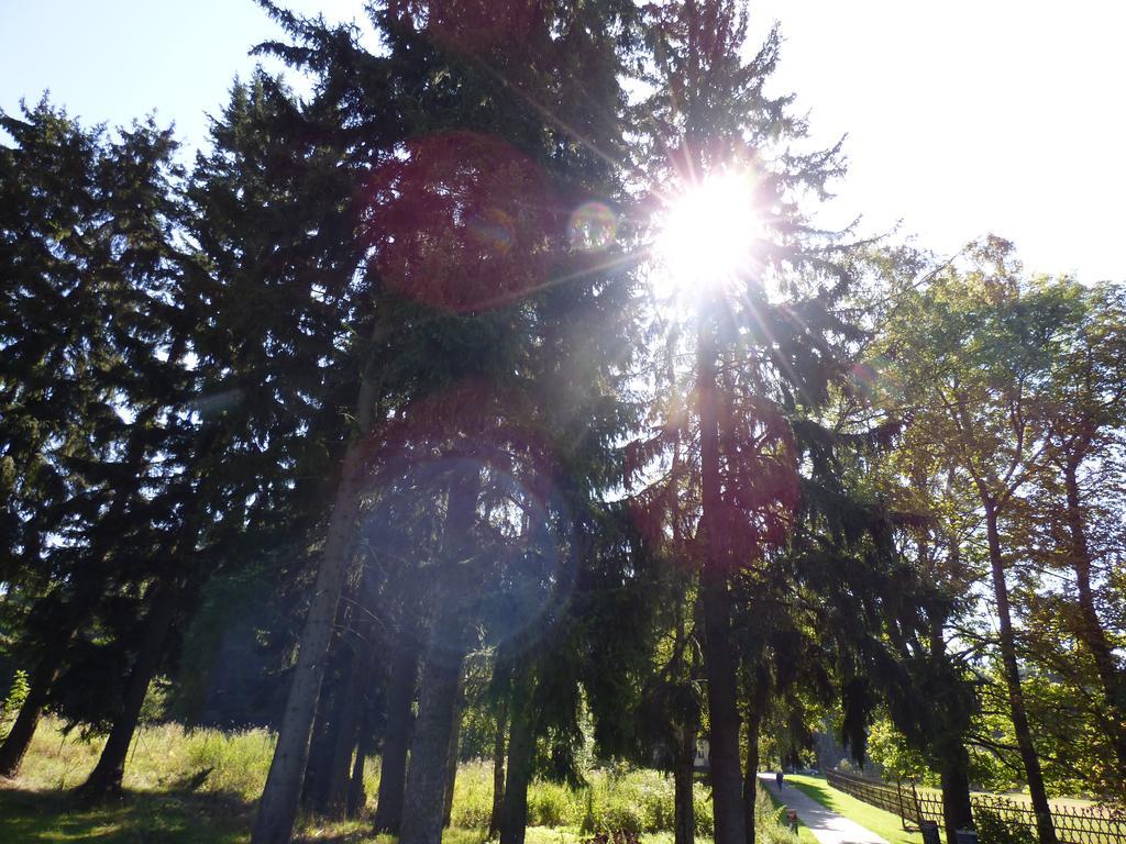 Villa Meteor Marianske Lazne Luaran gambar